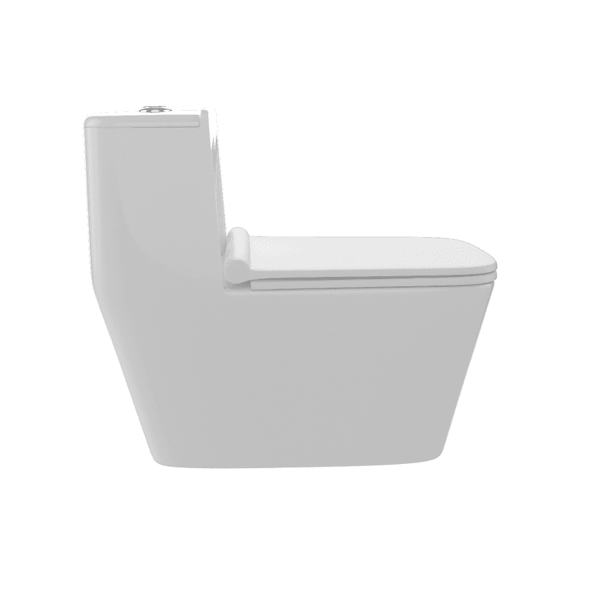 Danube Single Piece Water Closet
